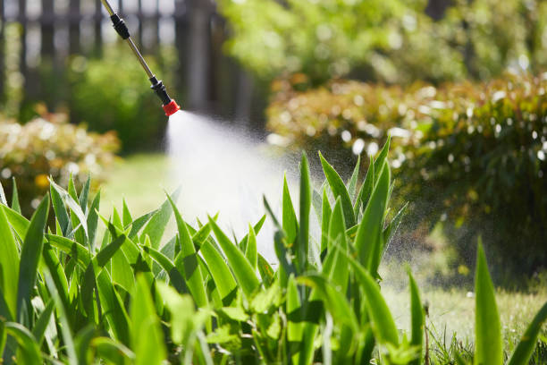 24/7 Emergency Mosquito Control experts in Random Lake, WI