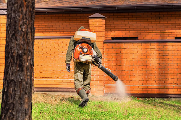 Top rated local Mosquito Control specialists in Random Lake, WI